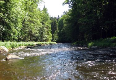 Tocht Te voet Fürsteneck - Fürstenecker Triftsteig - Photo