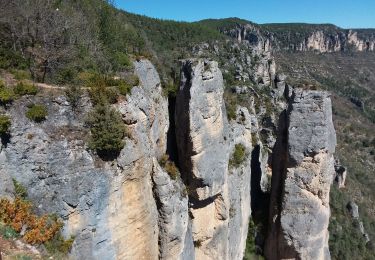Excursión Senderismo Le Rozier - Les corniches des gorges de la Jonte et du Tarn - Photo