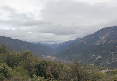 Tour Wandern Mollans-sur-Ouvèze - La montagne de Bluye par Saint-leger du Ventoux  - Photo