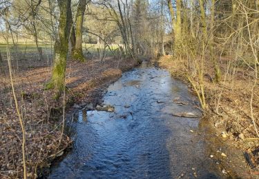 Trail Walking Bertrix - Marche ADEPS Biourge - Photo