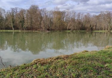 Randonnée Marche Heimsbrunn - Morschw Galfingue retour  - Photo