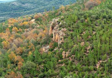 Trail Walking Bagnols-en-Forêt - REV_ Colle Rousse - Photo