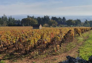 Tour Wandern Givry - Boucle de Givry à Russilly - Photo