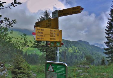 Randonnée A pied Emmetten - Tritthütte - Cholstrasse - Photo