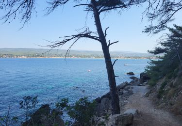 Tocht Stappen Bandol - Bandol - St Cyr par le sentier du littoral - Photo