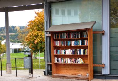 Excursión A pie Owingen - Halbmarathonstrecke rund um Überlingen - Photo