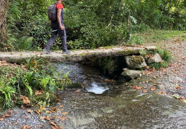 Trail Walking Ainhoa - Haï holà - Photo