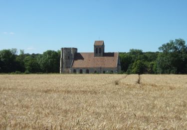 Tocht Te voet Magny-en-Vexin - L’église de Nucourt par le bois de l’Île - Photo