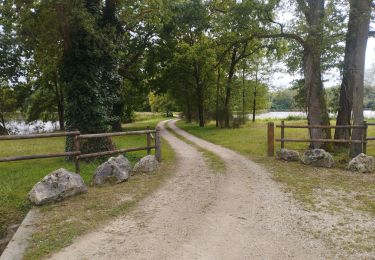 Trail Walking Pierrefitte-sur-Sauldre - ly - Photo