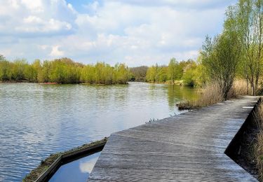 Trail Walking Quincy-sous-Sénart - Boucle 22 km Quincy - Lieussaint- Combs -Ru du Hauldres - Photo