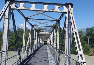 Tocht Mountainbike Port-Valais - st gingolf - Photo