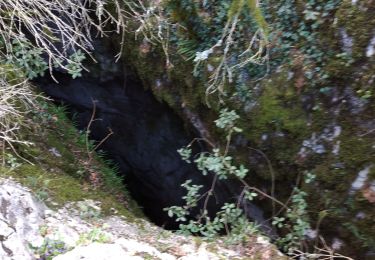 Excursión Senderismo Vallon-Pont-d'Arc - 07 grotte derocs chauvet - Photo