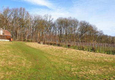 Tocht Stappen Terhulpen - La Hulpe - Gaillemarde - Photo