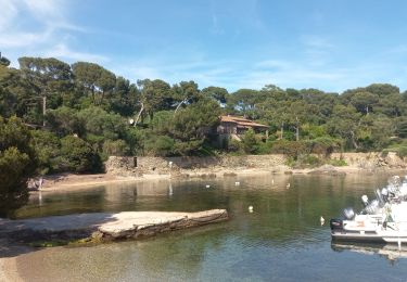 Randonnée Marche Hyères - La Madrague - Tour Ouest - Photo