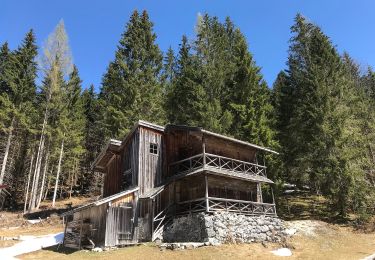 Percorso A piedi Ruhpolding - Wanderweg 57 - Ruhpolding - Photo