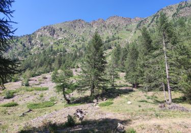 Tour Wandern Vinadio - Étape 4 Refuge Alexandris Foche / Isola 2000 - Photo