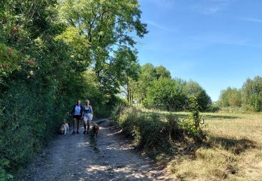 Trail Walking Trooz - ferme des loups  - Photo