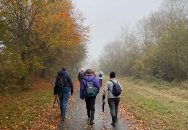 Randonnée Marche Stavelot - Ster Francorchamps - Photo