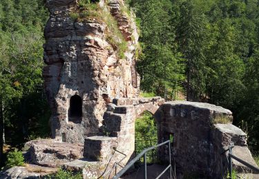 Trail Walking Lembach - Niedersteinbach-Froensbourg - Photo