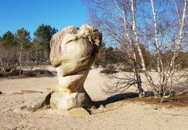 Tour Wandern Noisy-sur-École - 2020-01-21 gorges aux chats  - Photo