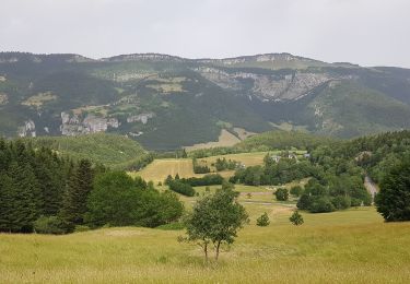 Trail Nordic walking Saint-Nizier-du-Moucherotte - St Nizier - Croix Lichou - Bois des Mures - Photo