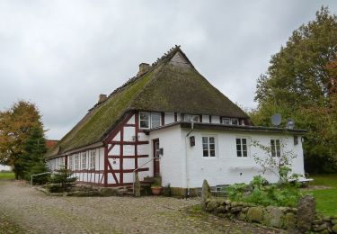 Tour Zu Fuß Boren - Ekenis-Kiesby-Boren - Photo