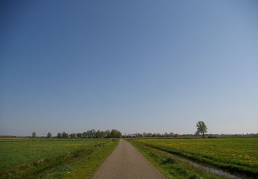 Percorso A piedi Steenwijkerland - WNW WaterReijk - Nederland - blauwe route - Photo
