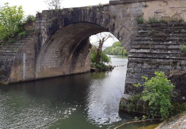 Trail Walking Pont-sur-Yonne - 210516 Pont sur Yonne - Photo