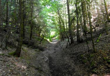 Trail Nordic walking Volvic - tour du Puy Chopine (variante)  - Photo