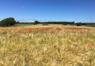 Trail Walking Durbuy - Entre Condroz et Ardennes (Durbuy) - Photo