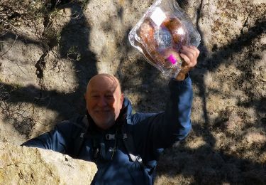 Tour Wandern Évenos - les grés de Ste Anne d'Evenos - Photo