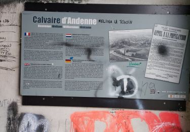 Tour Wandern Andenne - COUTISSE _ ( ANDENNE ) _ Marche Adeps _ NA _ 16/01/2022 - Photo