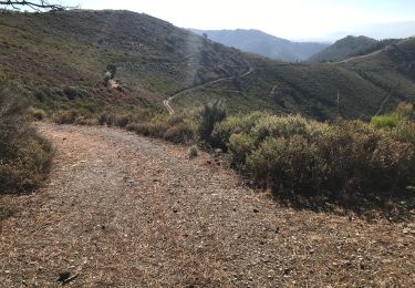 Trail Walking Villafranca del Bierzo - Villafranca Pereje - Photo