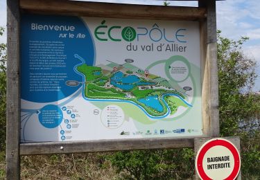 Tocht Stappen Pérignat-sur-Allier - Ecopôle du Val d'Allier - Photo