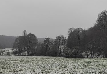 Tour Wandern Hotton - Bois de Hampteau bis - Photo