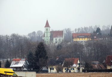 Tocht Te voet Deutschlandsberg - Rundweg über Schloss Frauental - Photo