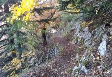 Trail Walking Romeyer - La rive du rocher des heures - Photo