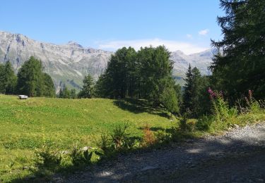 Tour Wandern Arbaz - Les rousses  - Photo