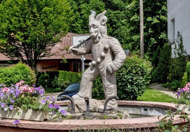 Percorso A piedi Schuttertal - Aussichtsweg - Große Runde - Photo