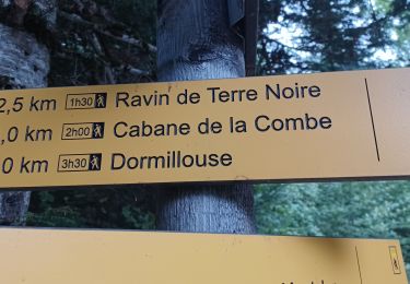 Randonnée Marche Montclar - SAINT JEAN MONTCLAR , forêt de Galisson , cabane de la Combe , o l m s  - Photo