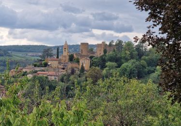 Excursión Senderismo Châtillon - Pierres-Dorées_Chatillon-d'Arzègues=>Alix=>Marcy=>Charnay - Photo