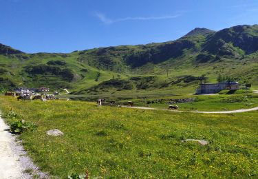 Trail Walking Untertauern - Seekarspitze - Photo