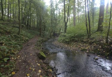 Randonnée Marche Modave - NEUF-MOULIN - Photo