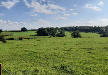 Tour Wandern Cousolre - Le canari 04 09 21 - Photo