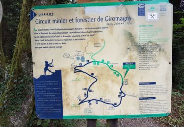 Tocht Stappen Lepuix - Giromagny - sentier des mines  - Photo