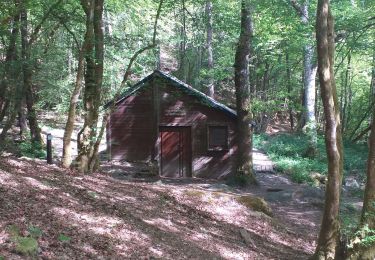 Tocht Stappen Libin - balade du dimanche entre eau et forêt  - Photo