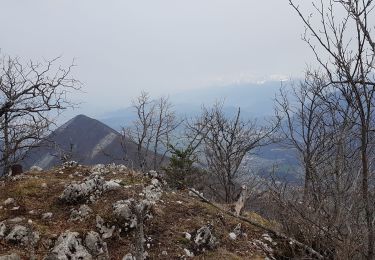 Trail Walking Le Gua - Un tour de L'Eperrimont par le sommet ! - Photo