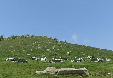 Randonnée Marche Stosswihr - Sentier des roches, hohneck, schiessrothried - Photo