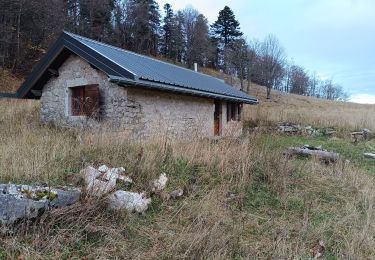 Randonnée Marche La Chapelle-en-Vercors - Serre Plumé  - Photo