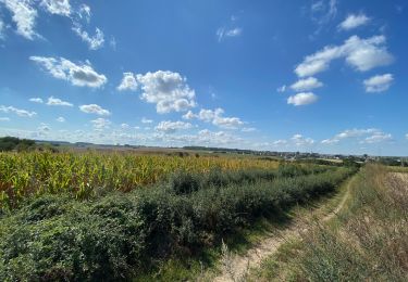 Tour Wandern Gerpinnes - Fromiée Hanzinne Hymiée - Photo